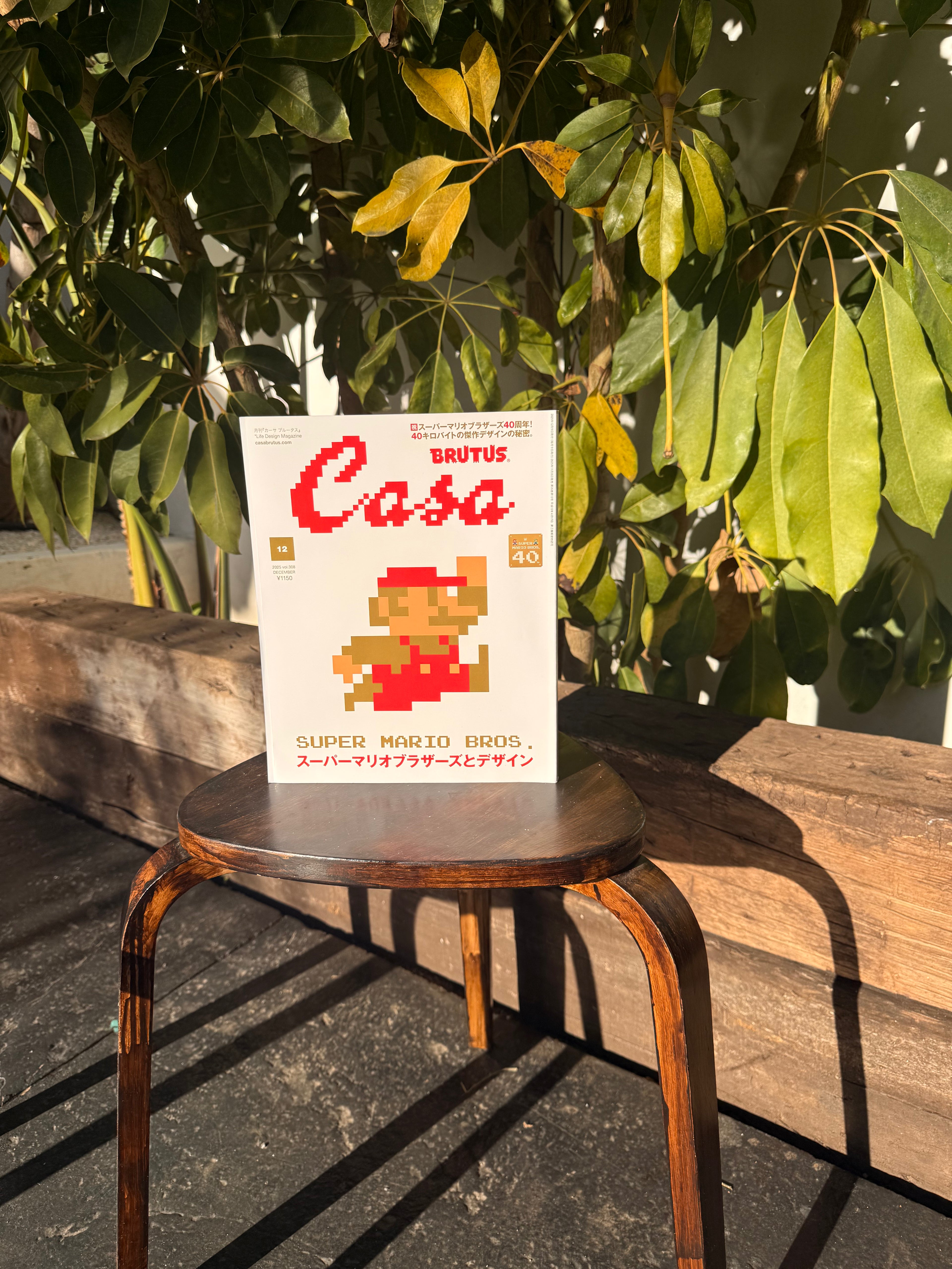 Casa BRUTUS #308 – Super Mario Bros · Diseño &amp; Cultura (Edición Japonesa)